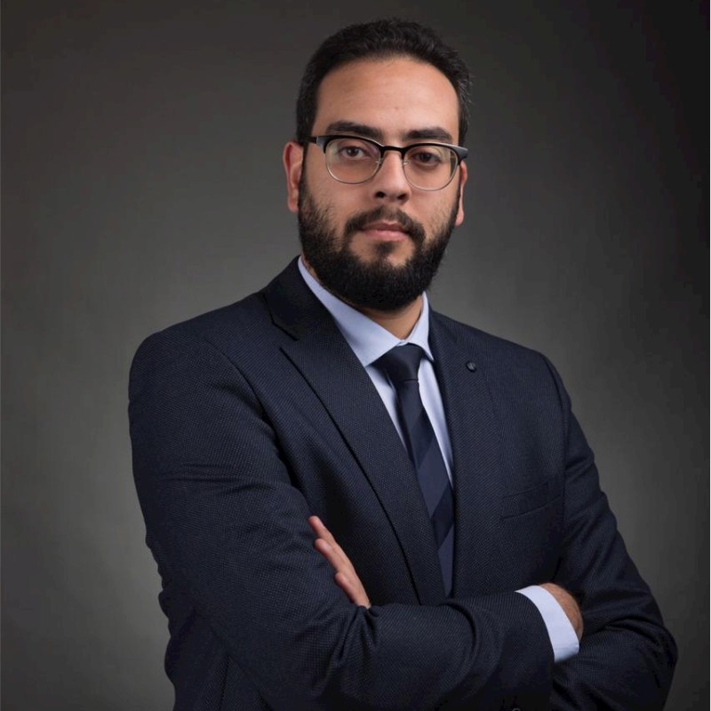 Wael Mohamed Abdel Aziz Salem